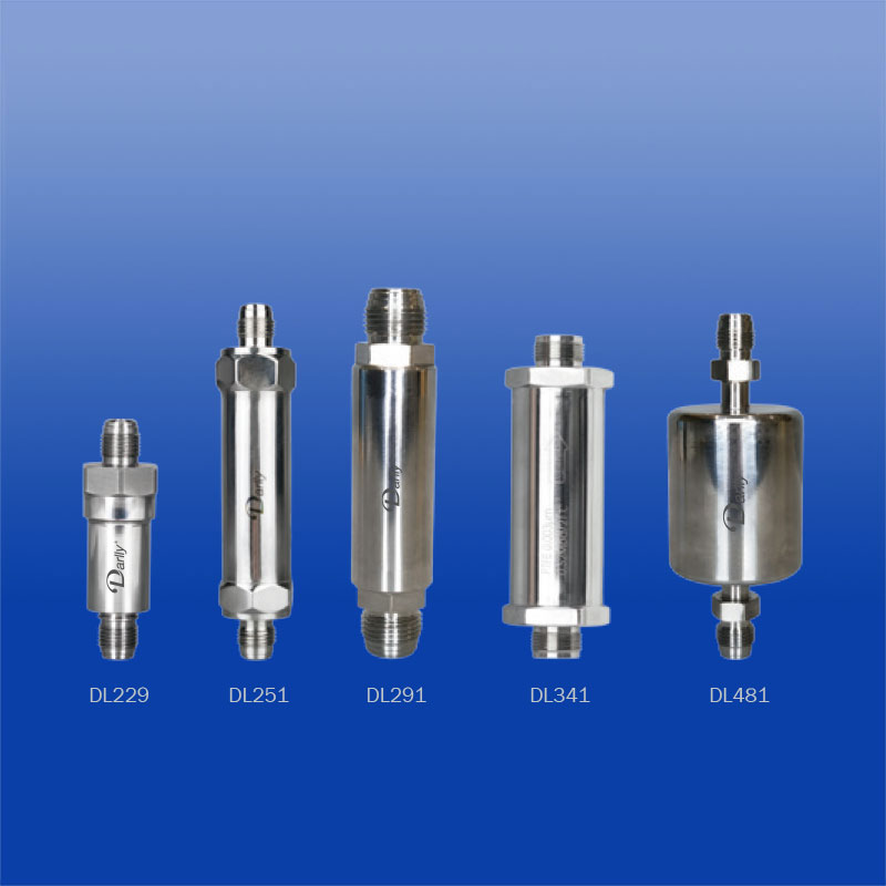 Has-cleen Integrated Electronic-Grade Stainless Steel Gas Filters
